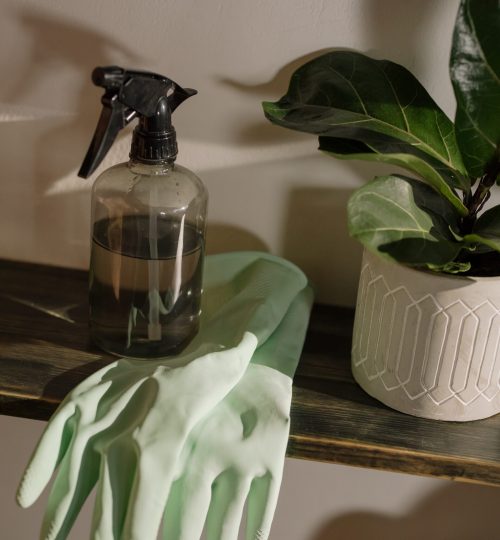schoonmaak handschoenen